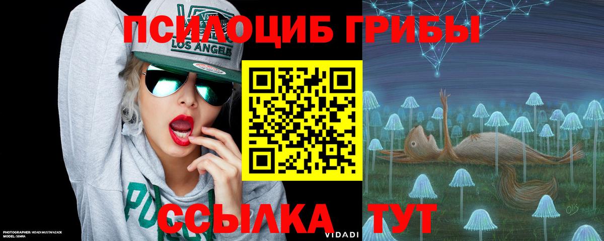 Псилоцибиновые грибы мухоморы  что такое наркотик  Черняховск  Вход с VPN 